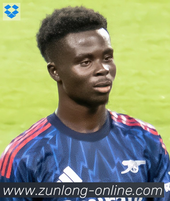 维尼修斯
